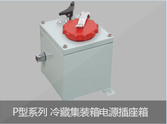 P型系列冷藏集装箱电源插座箱