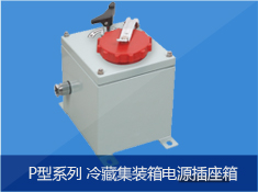P型系列冷藏集装箱电源插座箱