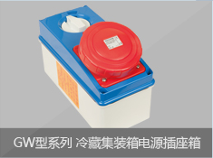 GW型系列冷藏集装箱电源插座箱
