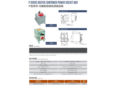 P型系列冷藏集装箱电源插座箱